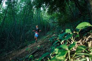 BIB: 
                            <button type="button" onclick="openModal(28124787)" class="btn btn-primary btn-sm float-right btn-popup" data-toggle="modal" data-target=".modal-high-quality">
                        <i class="fas fa-shopping-cart"></i> Add to Cart
                    </button>
                                            <button type="button" onclick="isThisMe(28124787, true)" class="btn btn-success btn-sm float-right btn-popup btn-isme hidden" data-toggle="tooltip" data-placement="bottom" title="นี่คือรูปของคุณใช่ไหม คลิกที่นี่เพื่อเอาเข้าอัลบั้ม">
                        <i class="fas fa-plus"></i> Add to album
                    </button>
                    <button type="button" onclick="isThisMe(28124787, false)" class="btn btn-warning btn-sm float-right btn-popup btn-isnotme hidden">
                        <i class="fas fa-ban"></i> Remove from album
                    </button>